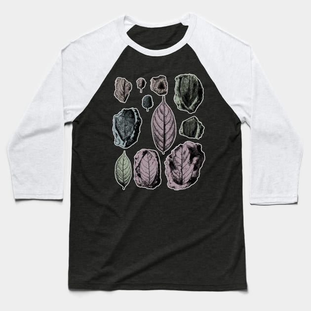 Botanical Leaf Fossils Baseball T-Shirt by encycloart